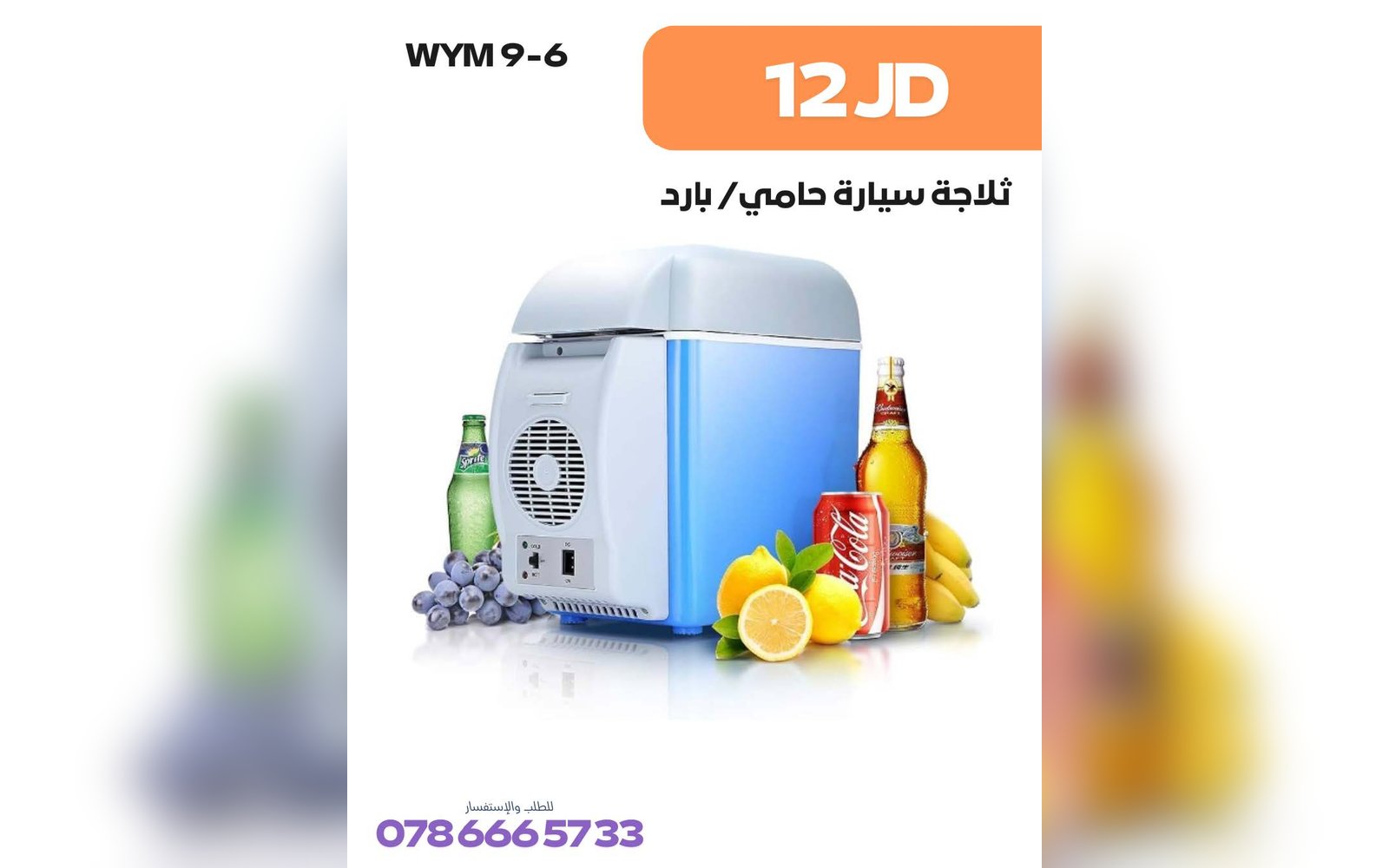 ثلاجة سيارة حامي/بارد