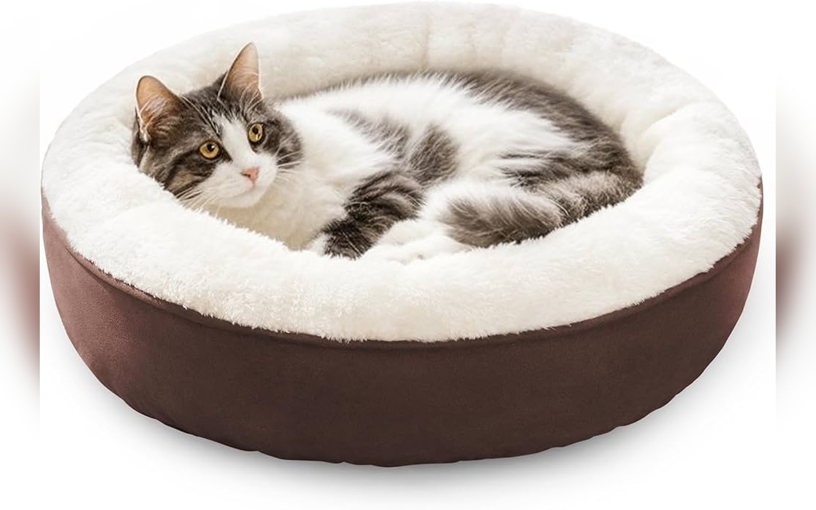 سرير قطط دائري