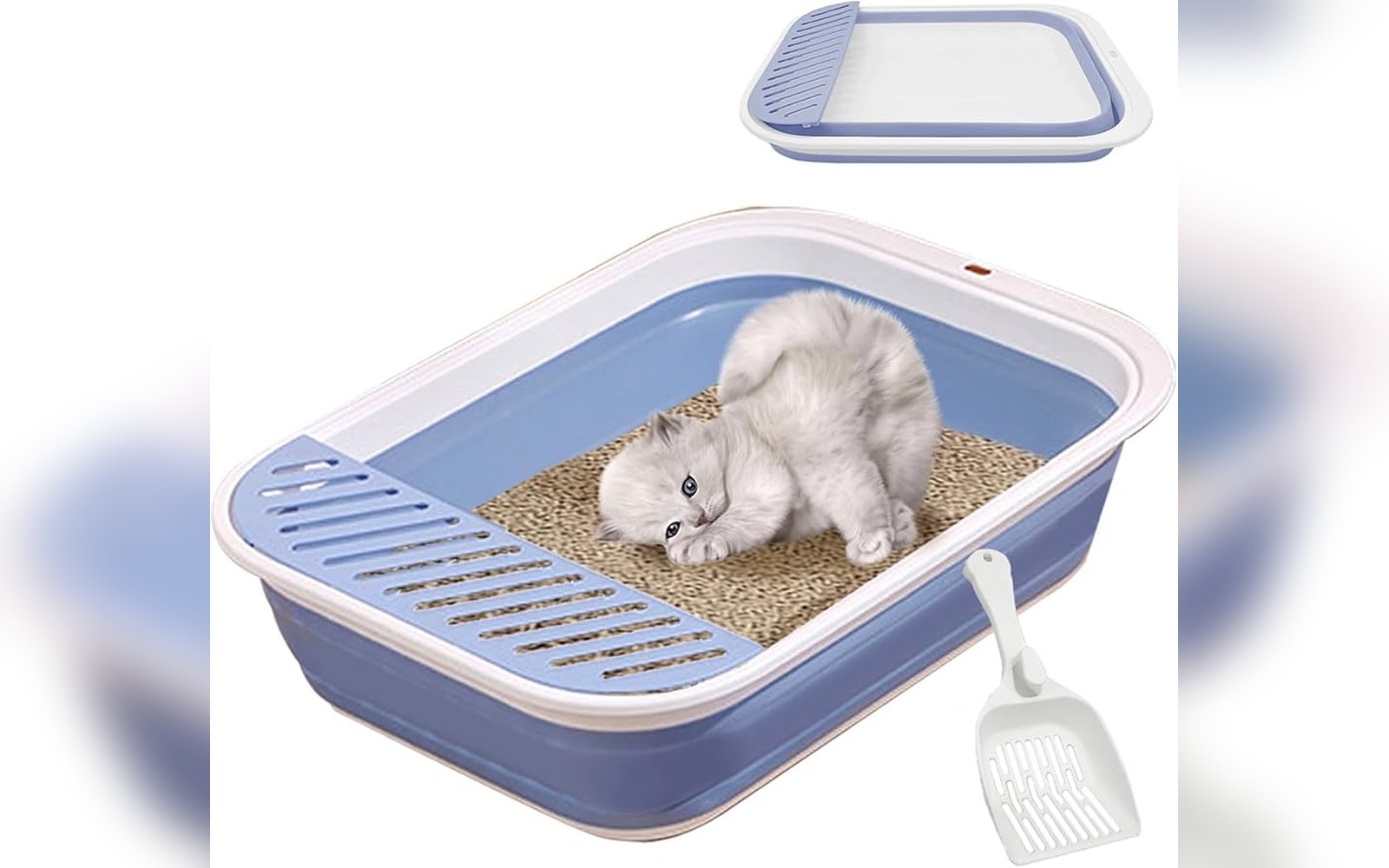 صندوق رمل قطط مع مجرفة