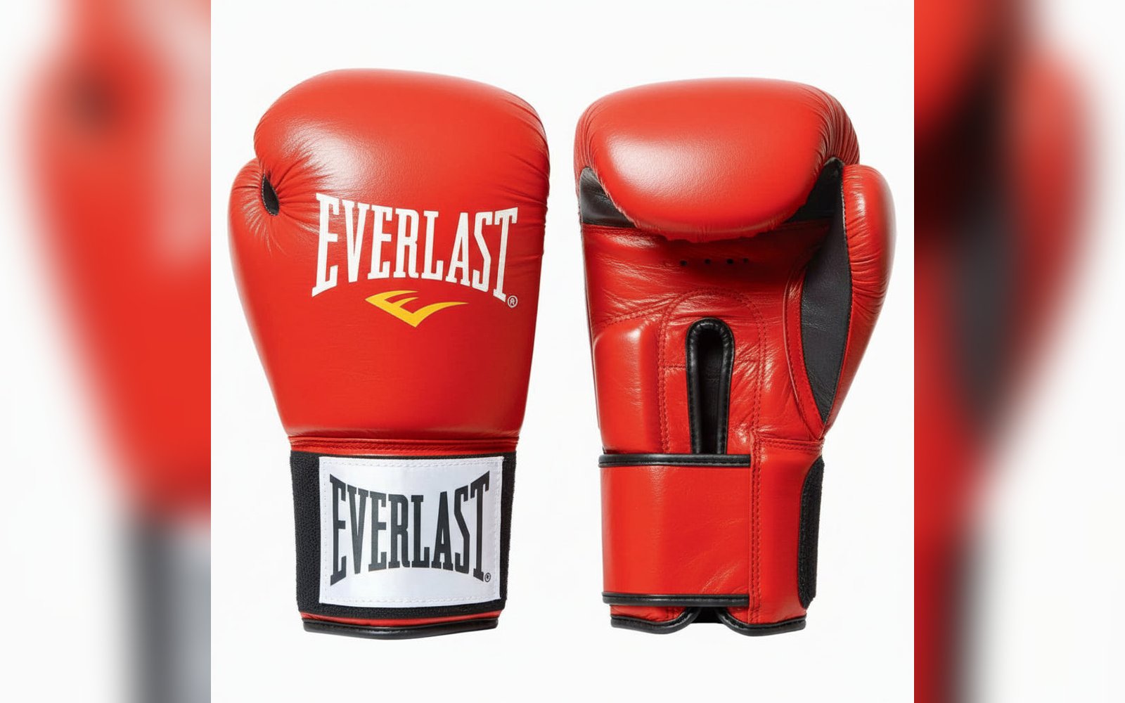 BOXING GLOVES everlast
