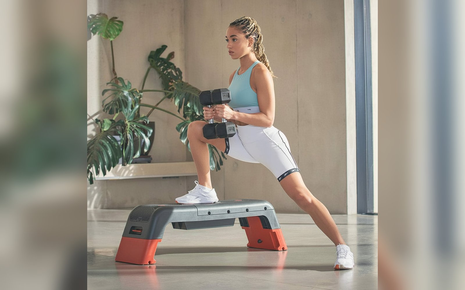 Aerobic Step 2in1