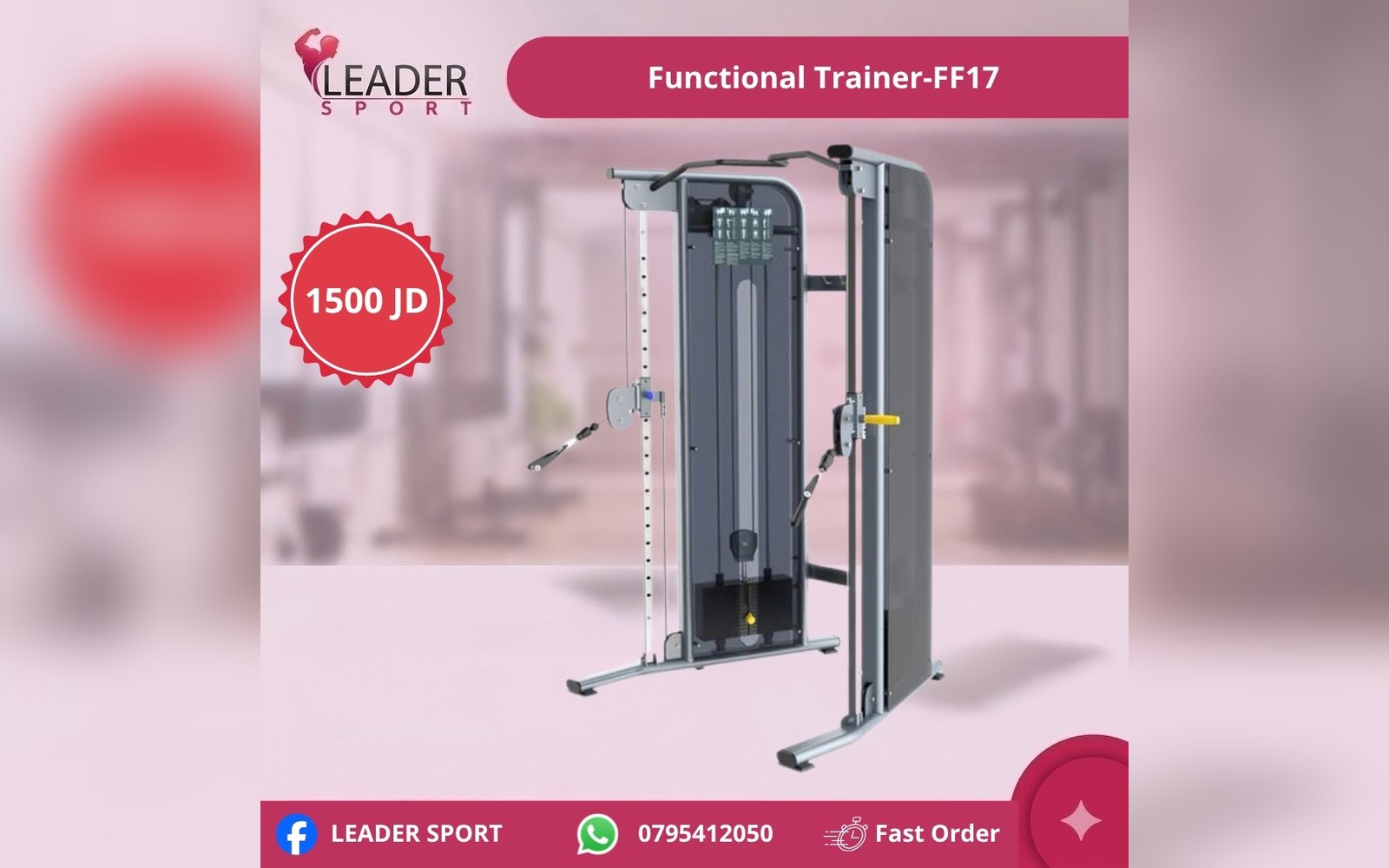 Functional Trainer-FF17