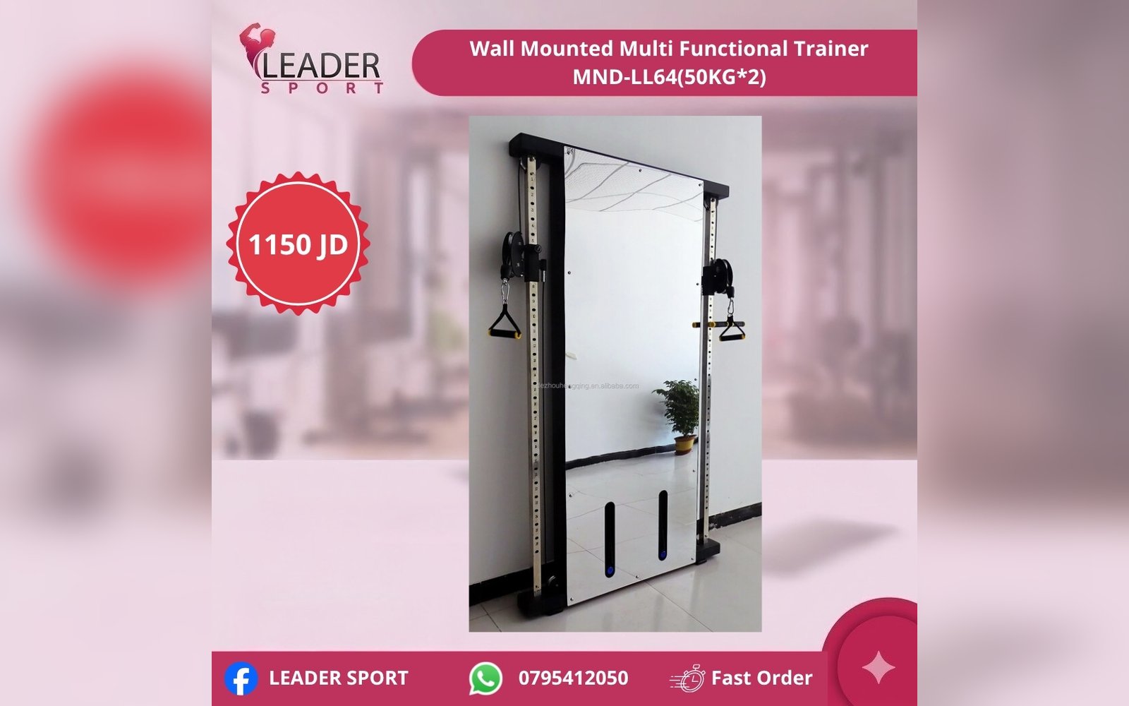 Wall Mounted Multi Functional Trainer MND-LL64(50KG*2)
