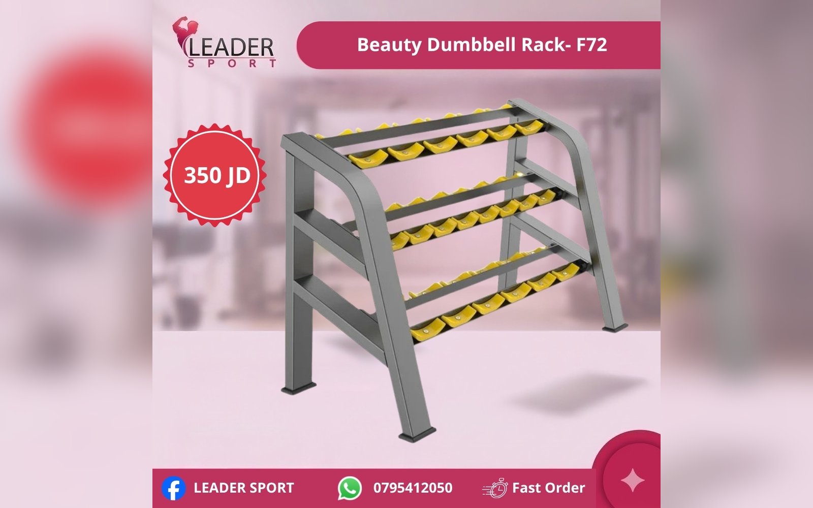 Beauty Dumbbell Rack - F72