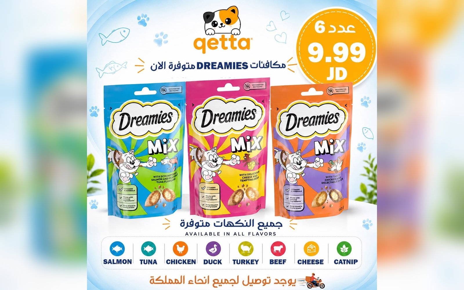 مكافئات للقطط