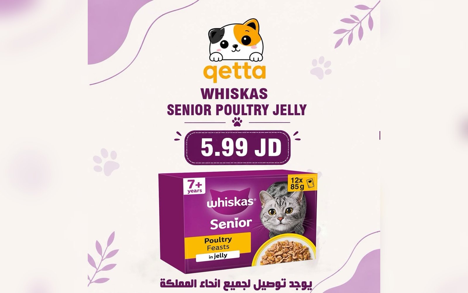 أكل للقطط