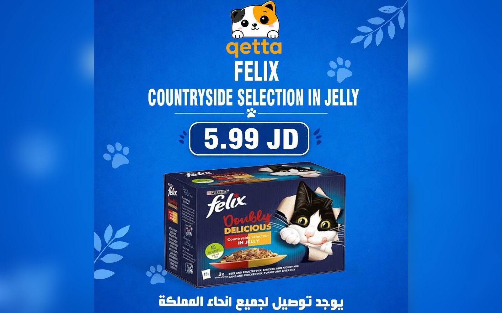 جيلي للقطط
