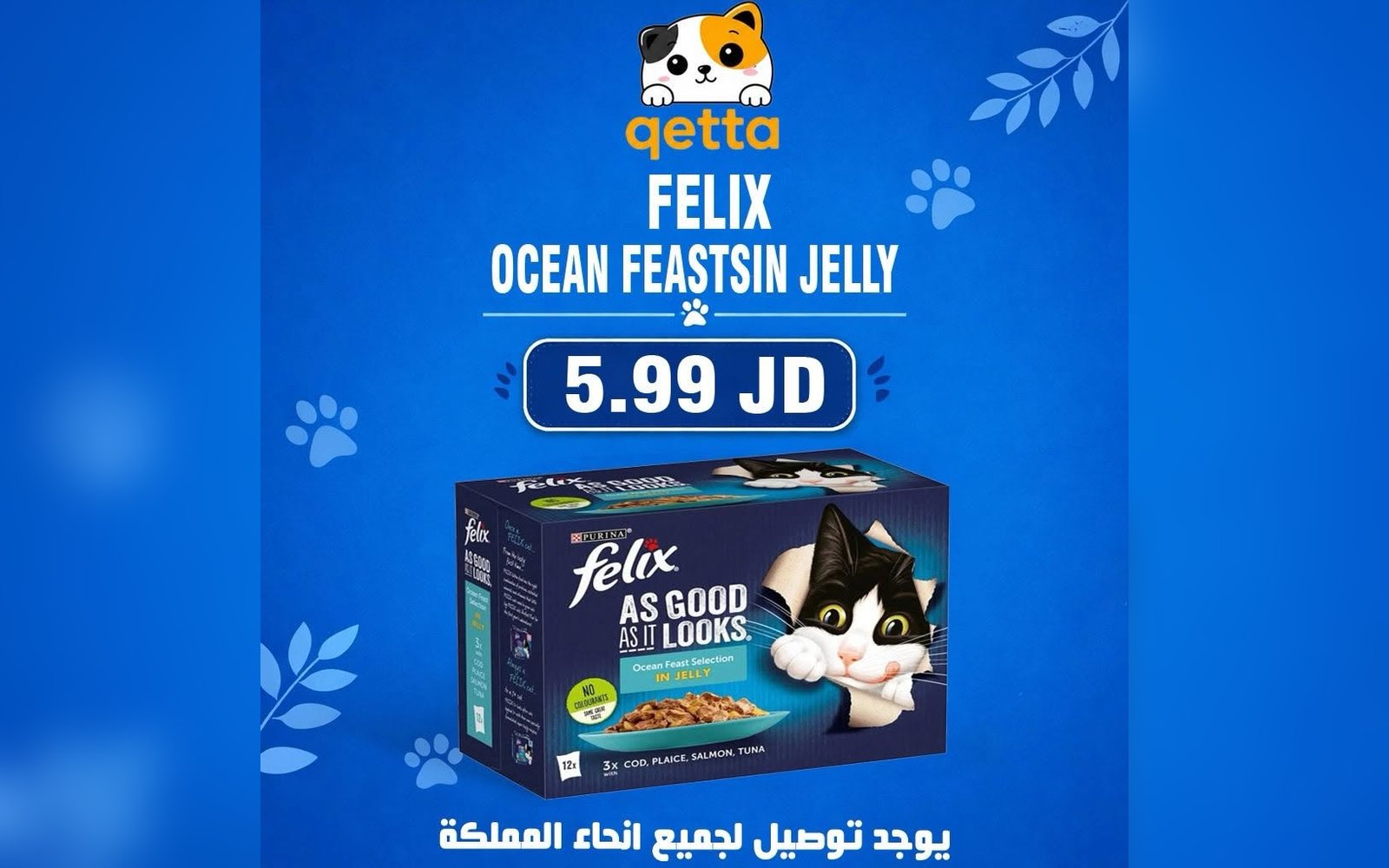 جيلي للقطط