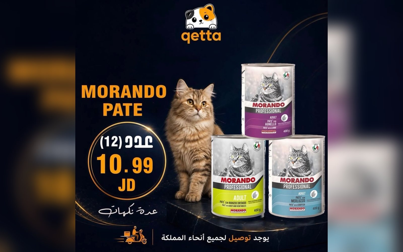 معلبات للقطط