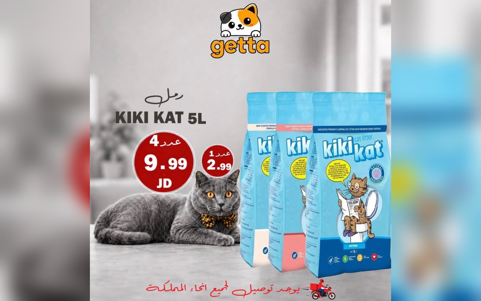 رمل القطط