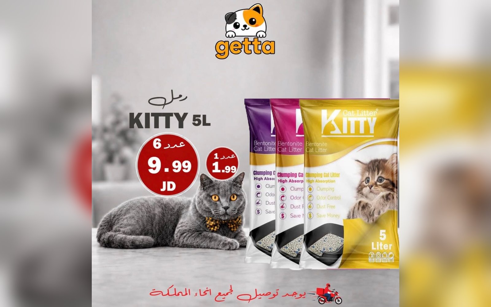 رمل القطط