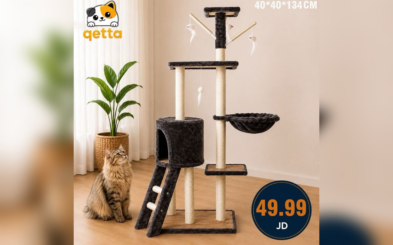 خداشات القطط