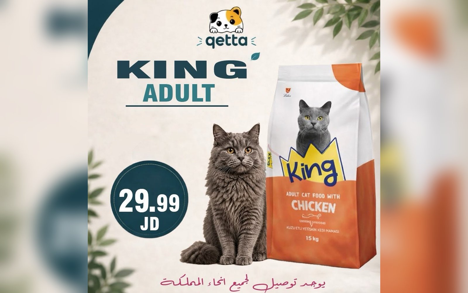 أكل للقطط