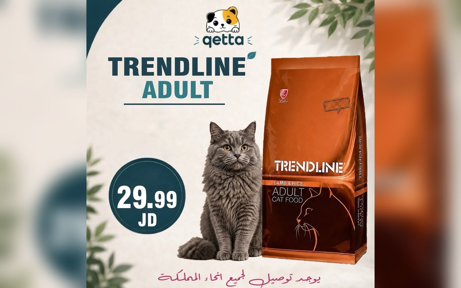 أكل للقطط
