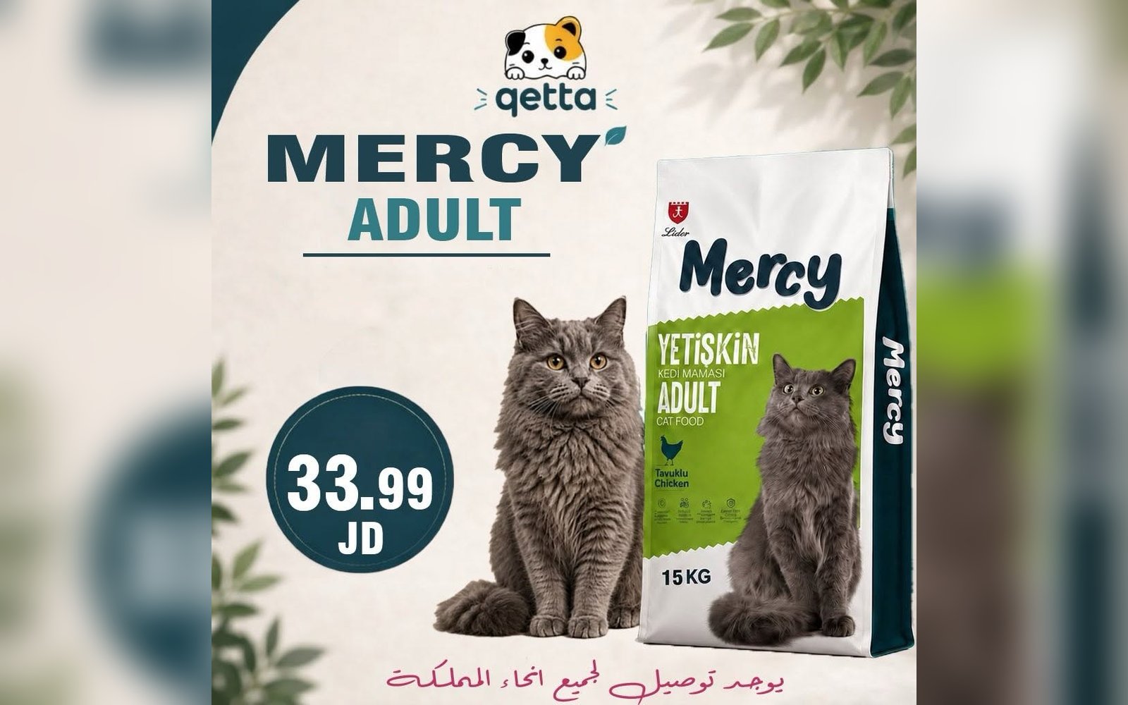 أكل للقطط