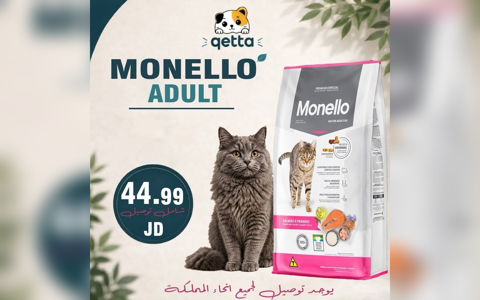 أكل للقطط