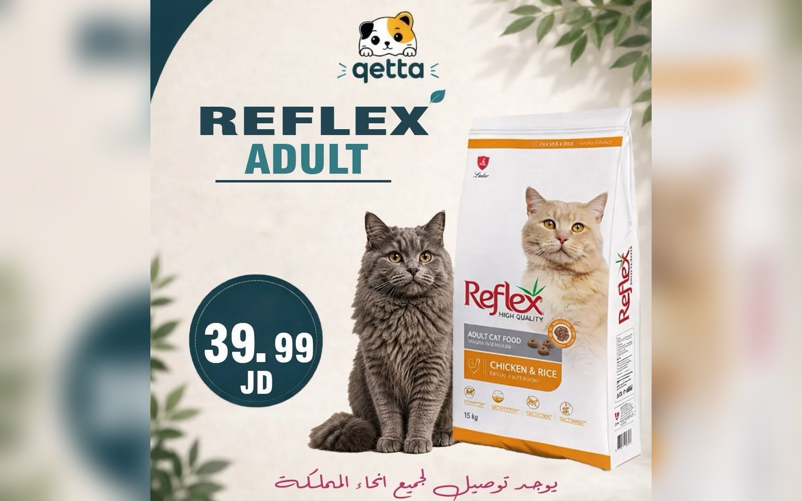 أكل للقطط
