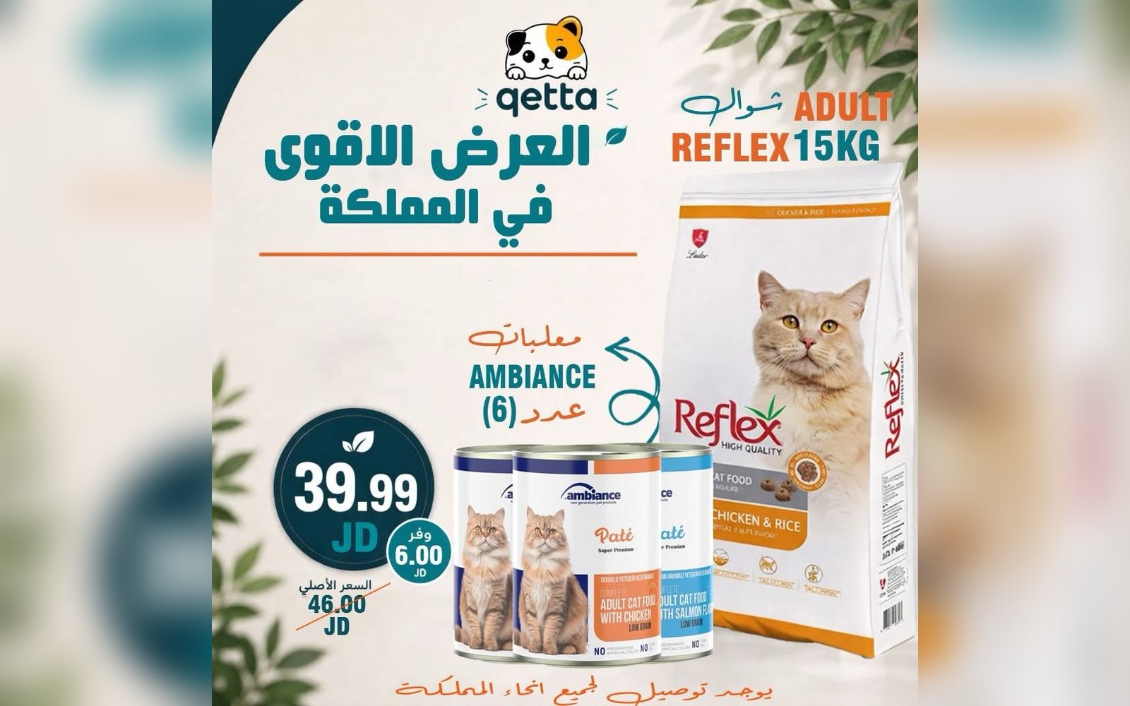 بكج أكل و معلبات للقطط
