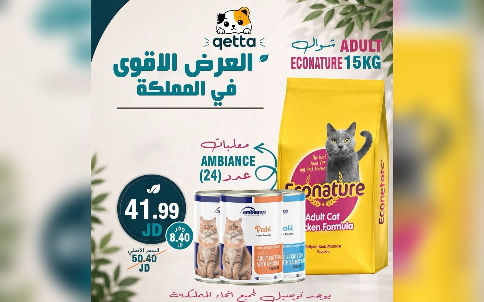 بكج أكل و معلبات للقطط