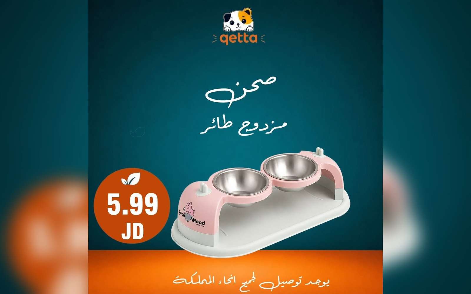 صحن مزدوج طائر