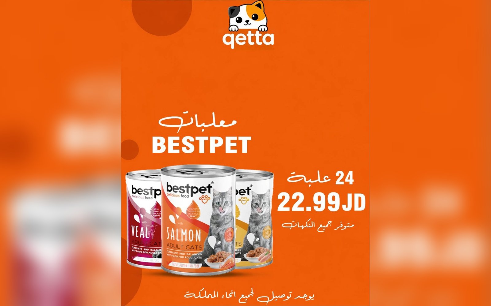 معلبات القطط
