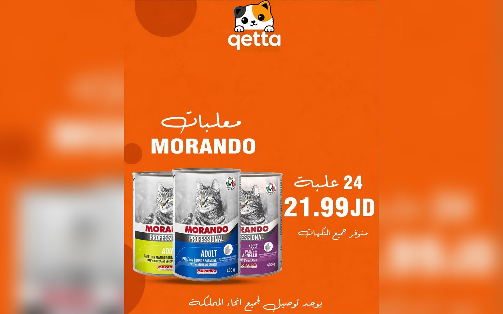 معلبات القطط