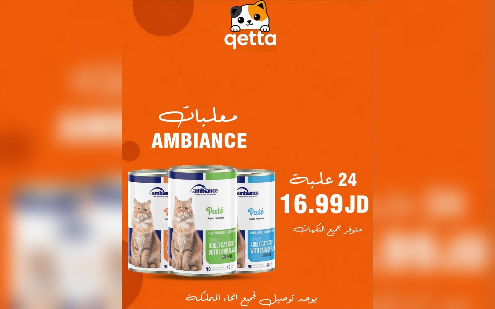 معلبات القطط