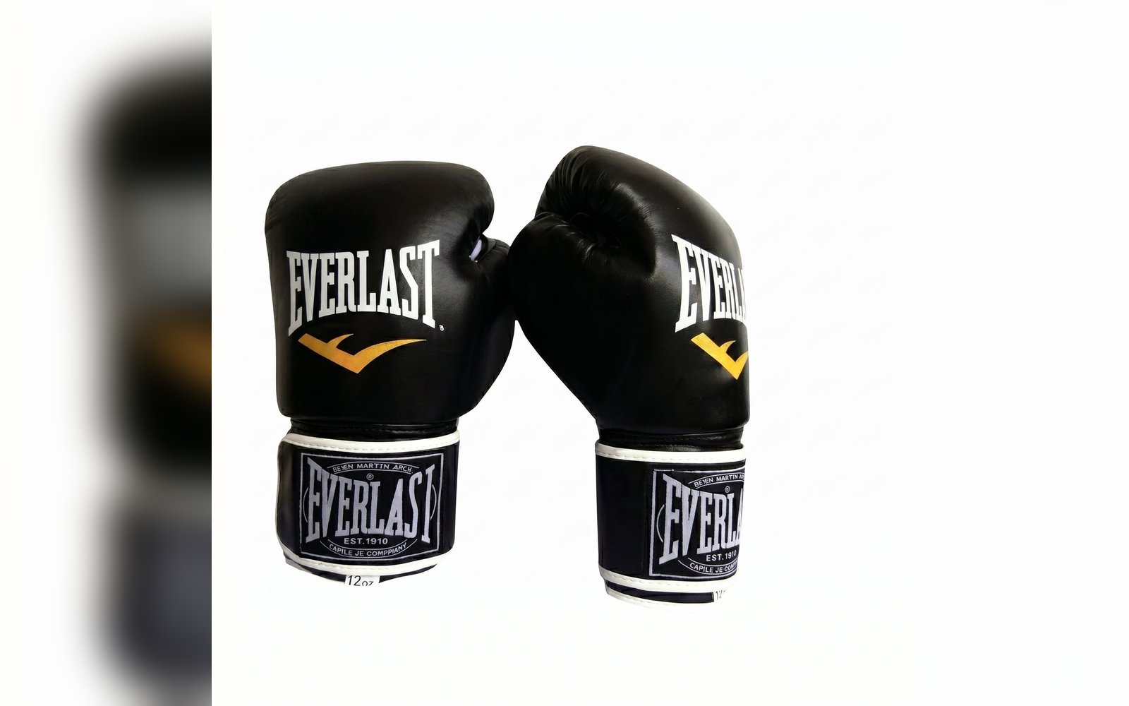 قفازات الملاكمة (EVERLAST Boxing Gloves)