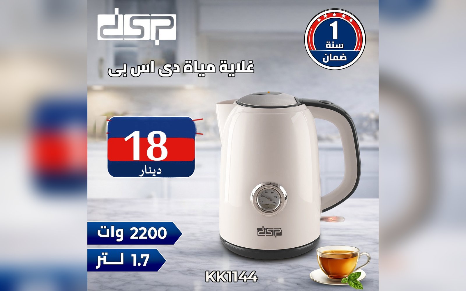 غلاية مياة دي اس بي
