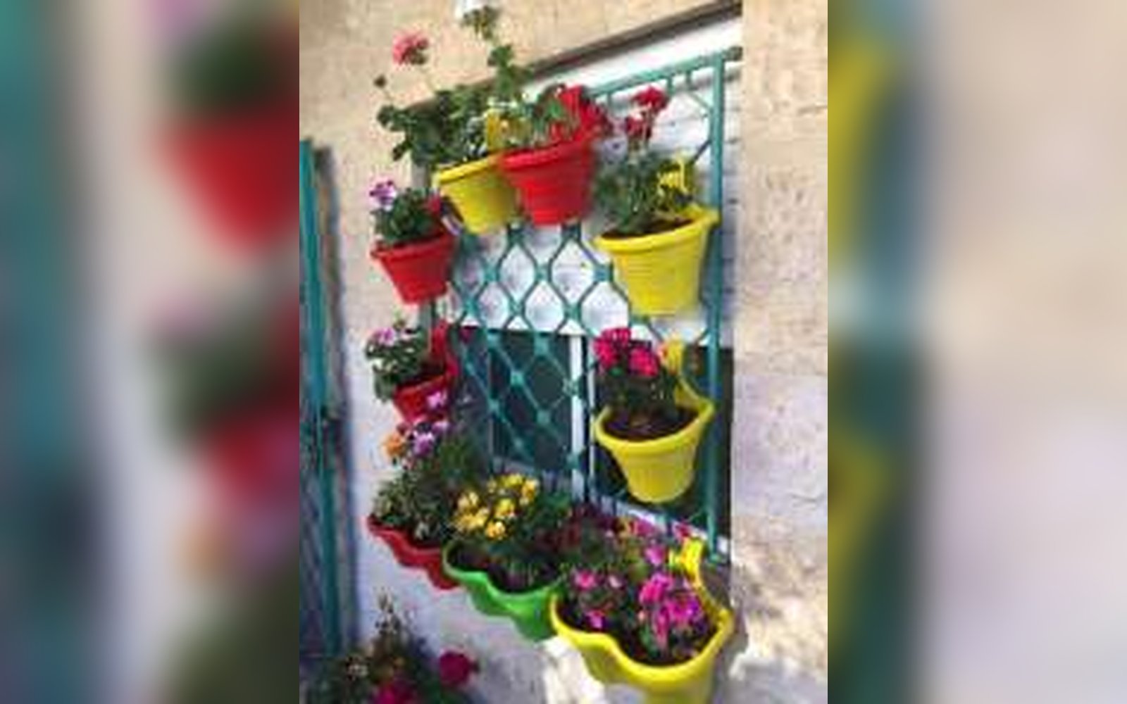 قوار هوك تعليق الوان ناصعه