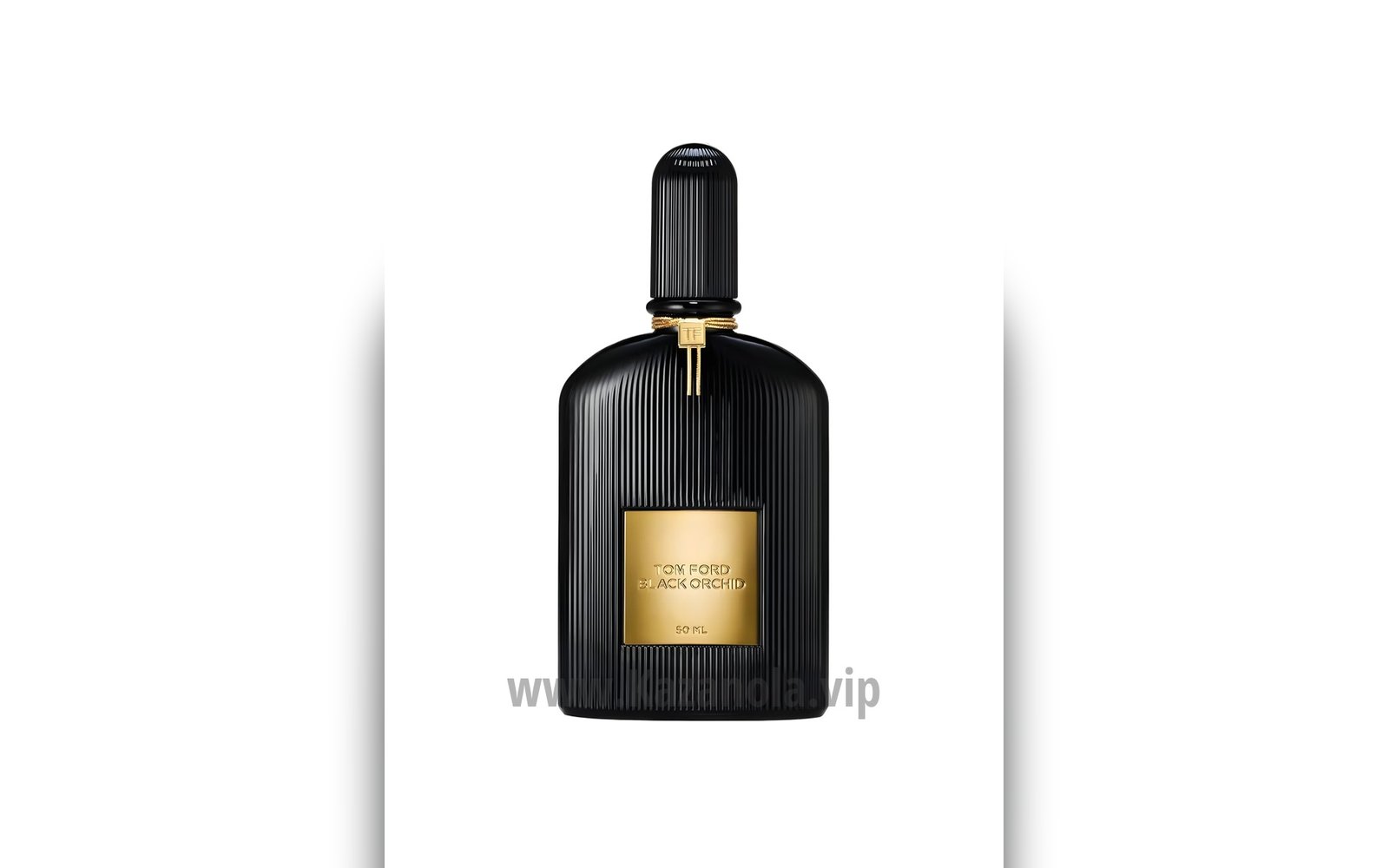 BLACK ORCHID