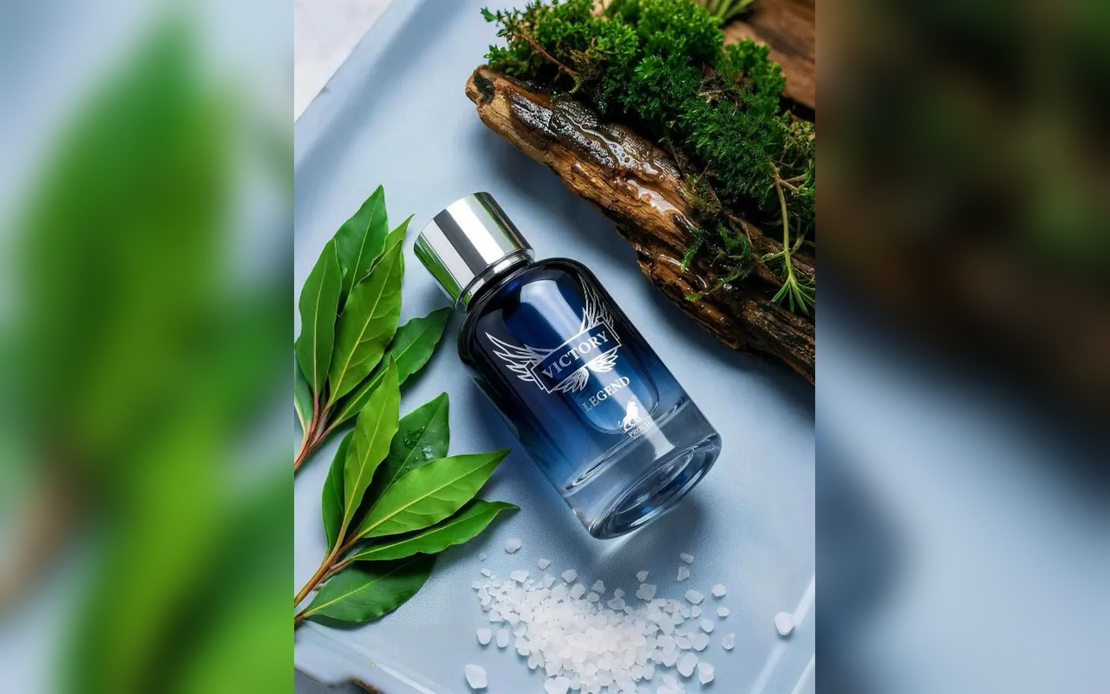 عطر انفكتوس