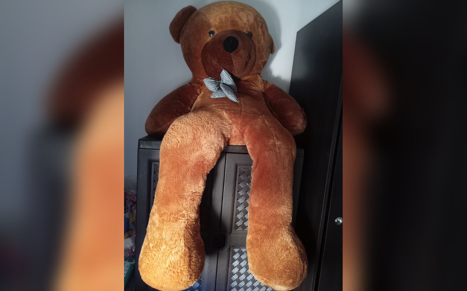 دب حجم كبير طول 180 سم
