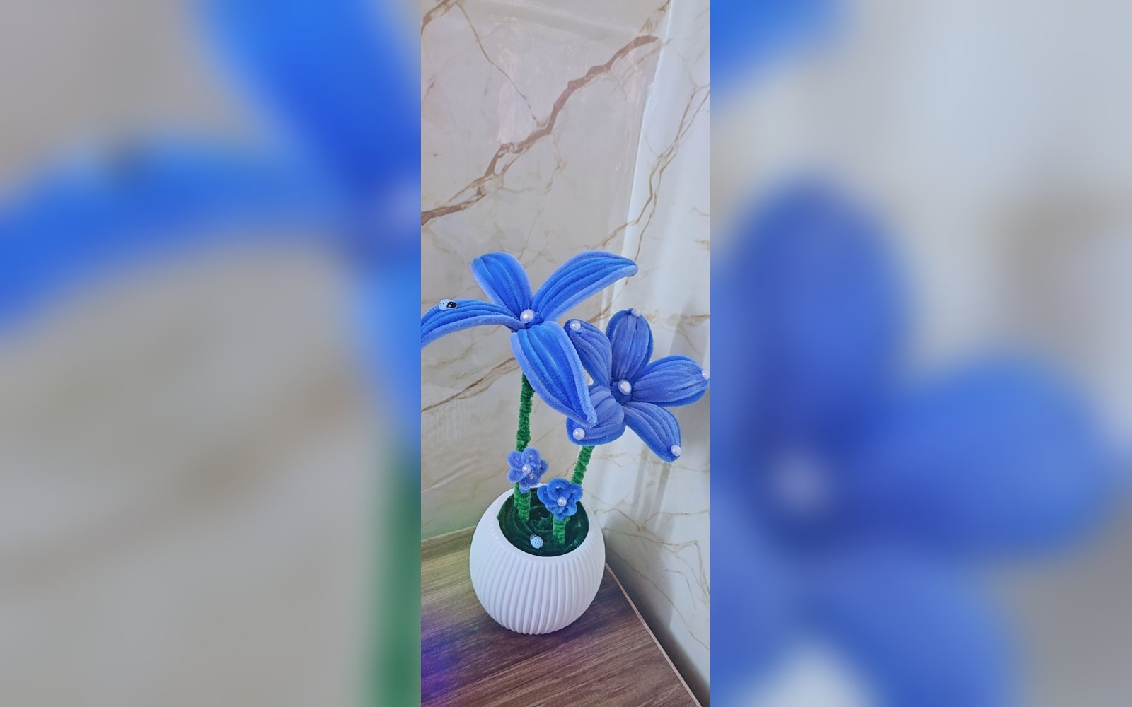 اصيص ورد الشنيل 💙
