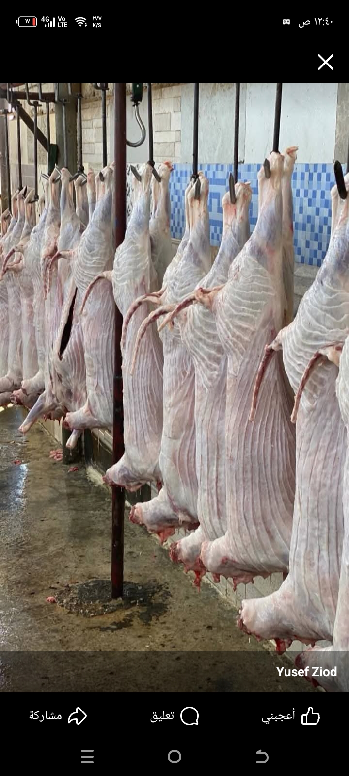 مزرعة التقوى