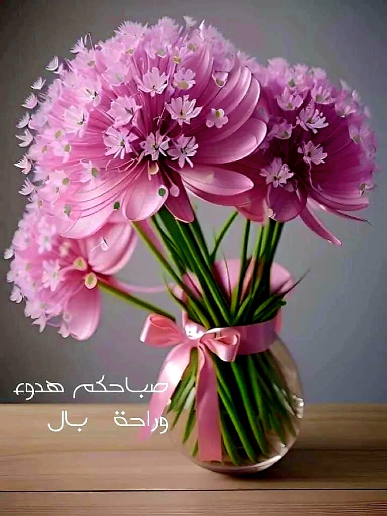 رشا
